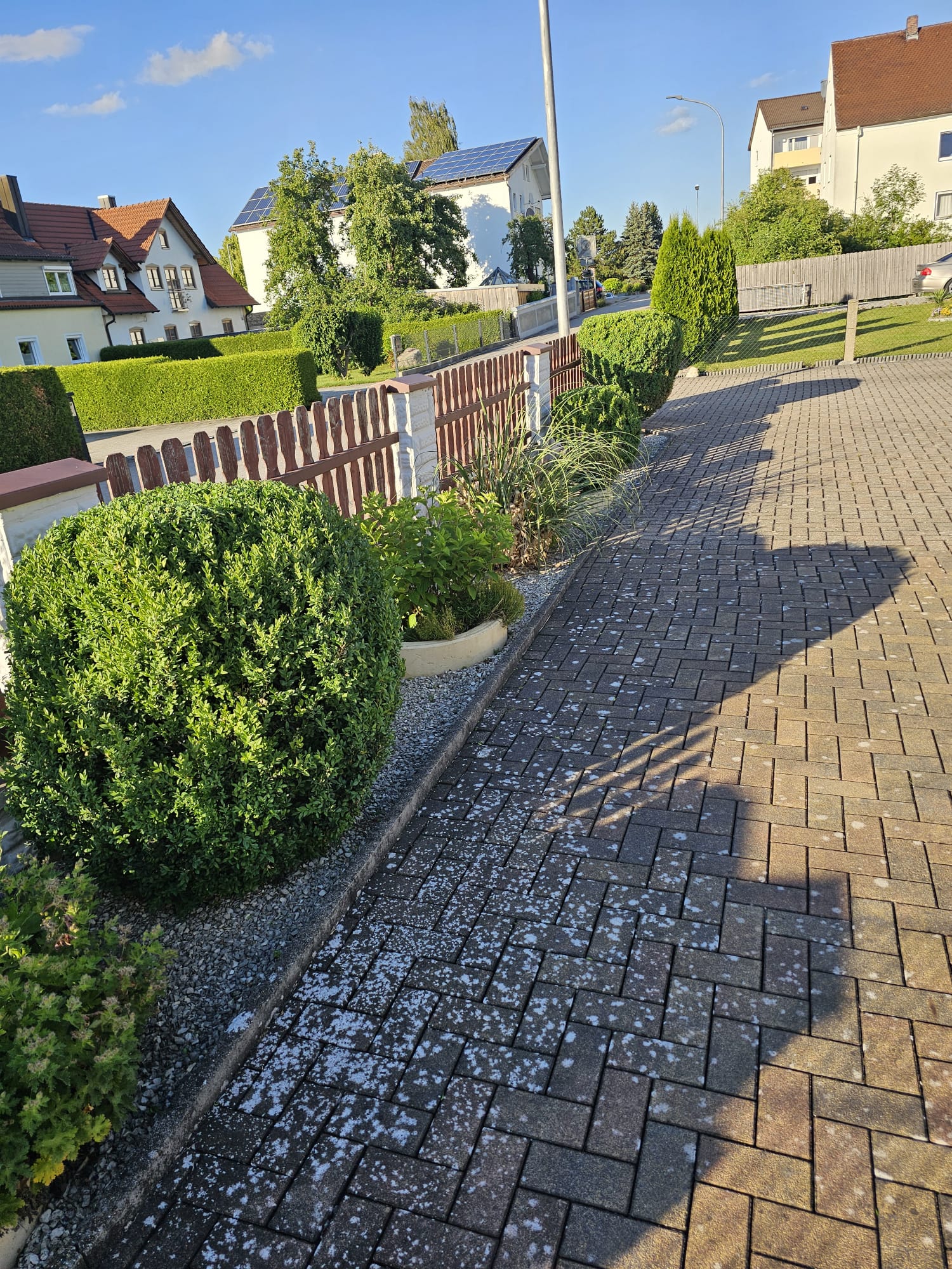 Gepflegte Außenanlage